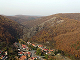 Szarvask ltkpe